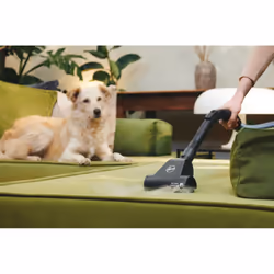 Hoover HP120PET 011 2 L Aspirateur réservoir cylindrique Sec 700 W Sans sac