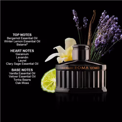 Laura Biagiotti Roma Uomo Nero Estremo 125 ml Hommes
