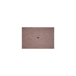 Vis autoraclante 3 5x8 pour lave-linge Indesit C00092348