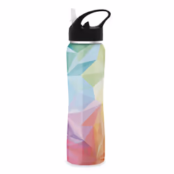 The Steel Bottle TSBMW47GMC, 500 ml, Utilisation quotidienne, Multicolore, Acier, Geometric color, Homme/femme