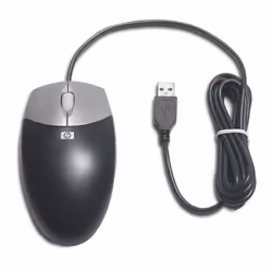 HP DC172B souris Ambidextre USB Type-A Optique