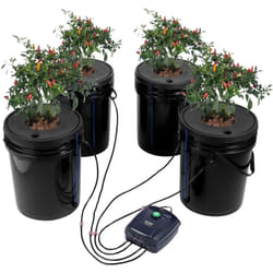 Systeme de Culture Hydroponique dwc, Kit de Culture en Eau Profonde 20 l 4 Seaux, avec Pompe a Air, Pierres a Air, Dispositif de Niveau deEau,