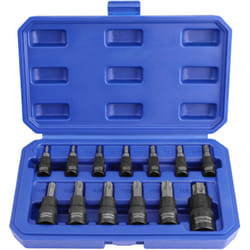 Workpro - Jeu de Douilles Torx 13 Pièces, Embouts T8-T60 en Acier S2 et Douilles en Acier Chrome Vanadium 1/4', 3/8' et 1/2', avec Boîte de Rangement