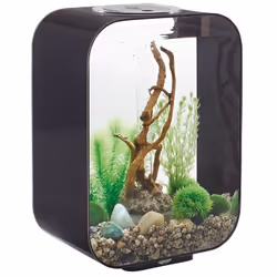 Jardin d'intérieur biOrb Life 15 LED black de Oase avec éclairage LED standard LED durable et économe en énergie et système d ...