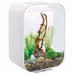 Le jardin d'intérieur biOrb Life 15 LED white de Oase est un ensemble complet composé d'un aquarium en acrylique, d'une unité ...