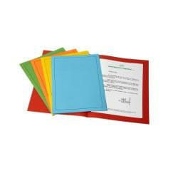 Fraschini 501-B fichier Bleu A4