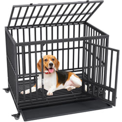 Vevor - Cage pour Chien Robuste 119x81x99 cm Cage de Transport en Metal pour Chiens en Anxiete de Taille Moyenne a Grande avec Roulettes
