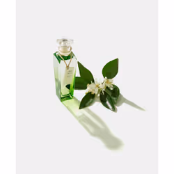 Adolfo Dominguez Agua Fresca de Azahar Eau De Toilette 120ml - Vue supplémentaire 4