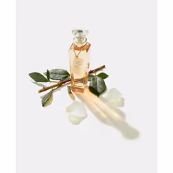 Adolfo Dominguez Agua Fresca de Rosas Blancas Eau De Toilette 120ml - Vue supplémentaire 4