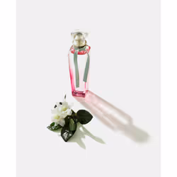 Adolfo Dominguez Agua Fresca de Gardenia Musk Eau De Toilette 120ml - Vue supplémentaire 4
