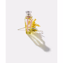 Adolfo Dominguez Agua Fresca de Mimosa Coriandro Eau De Toilette 120ml - Vue supplémentaire 4
