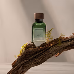 Vetiver Terra eau de parfum vaporisateur 120 ml - Vue supplémentaire 4