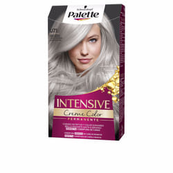Palette Intensive teinture #U71-gris argenté
