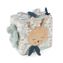 Pasito a Pasito Activity Cube Rabbit Serengueti