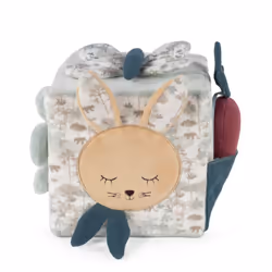 Pasito a Pasito Activity Cube Rabbit Serengueti