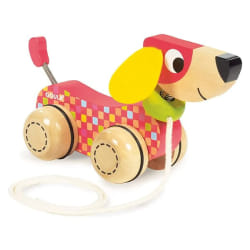 Goula Chien à tirer