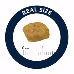 Advance Pet RENAL FAILURE croquette pour chat 1,5 kg Adulte