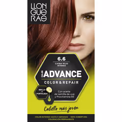 Llongueras Color Advance 6.6 Dark Red Intense, Rouge, Dark Red Intense, Femmes, Tous types de cheveux, Maintien de la couleur ...
