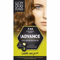 Llongueras Color Advance 7.34 Golden Dark Blond, Blonde, Golden Dark Blond, Femmes, Tous types de cheveux, Maintien de la cou ...