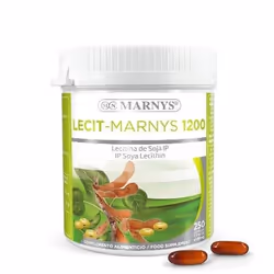 Marnys MN416, Adulte