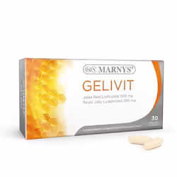 Marnys MN108, Adulte