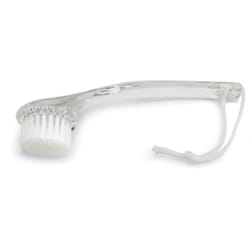 3 Claveles 41654 Transparent