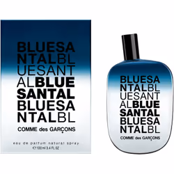 Comme Des Garcons Blue Santal, Unisexe, 100 ml, Flacon non réutilisable, Mediterranean parasol pine, juniper berry essence, b ...