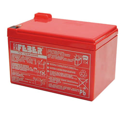 Famosa Batterie 12V - 12Ah