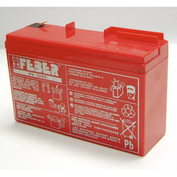 Famosa Batterie 6V - 12Ah