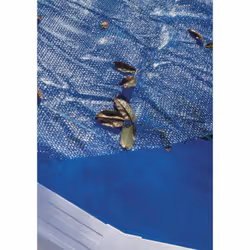 Gre CPROV505 Bâche pour piscine Couverture solaire de piscine