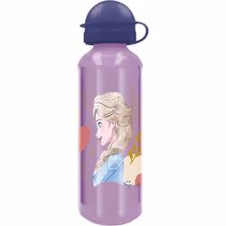 Bouteille en Aluminium - STOR - Frozen Trust The Journey - 530 ml - Sans BPA - Mixte