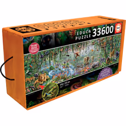 Educa 16066
