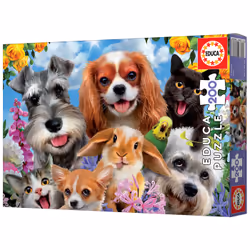 Educa 19293 puzzle Jeu de puzzle 200 pièce(s) Autres