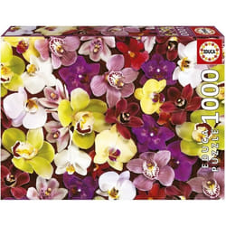 Educa Puzzle Orchidée 1000 Pièces