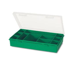 Tayg 061103 boite à outils Plastique Vert, Transparent