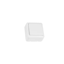 Interrupteur en saillie blanc 21172 Amig