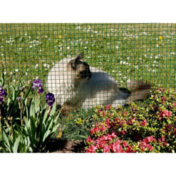 Nortene - Grillage métal plastifié 'Fensanet Plast 25' - 1 x 5 m - 25,4 x 25,4 x 0,85/1,2 mm - Vert