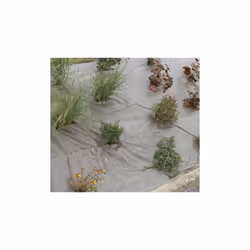 Disponible en vert ou en marron et avec des lignes horizontales pour vous guider dans vos plantations, ces toiles de paillage ...