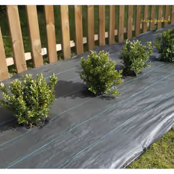 Toile de paillage pour obtenir de belles plantations, quasiment sans entretien. Il est important de bien fixer cette toile au ...