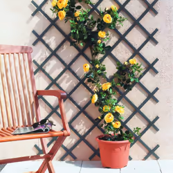 Treillis en plastique gris . Idéal pour décorer un mur, un balcon ou une terrasse et faciliter la croissance des plantes. Lat ...