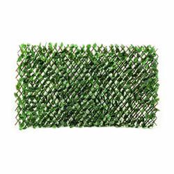 Couleur principale : Vert