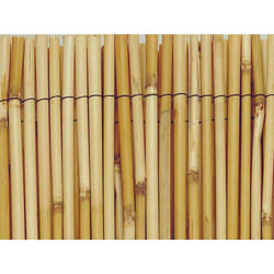 Brise vue en roseau 75% occultant 1 x 5 m REEDCANE