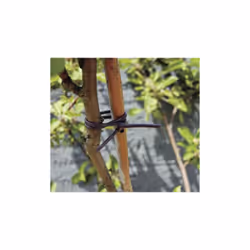 Le lien Tubefix est un lien élastique accompagnant la croissance de votre arbre. Discret et novateur, le lien Tubefix est éti ...