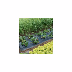 Paillage renforcé spécial fraises pour une récolte précoce. En polypropylène 100 g/m2 Traité anti-UV Durée de vie : supérieur ...