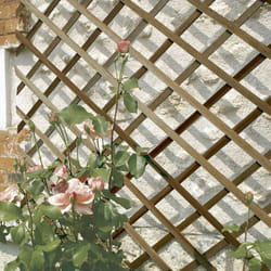 Nortene - Treillis en bois fsc extensible trelliwood - 1 x 2 m - Marron