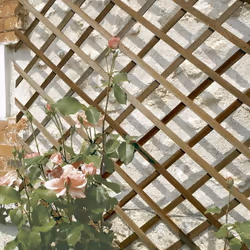 Description générale Le treillis extensible en bois Trelliwood est un support idéal pour décorer ou palisser vos plantes. Fab ...
