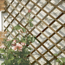 Treillis en bois fsc extensible trelliwood - 1 x 3 m - Marron - Nortene