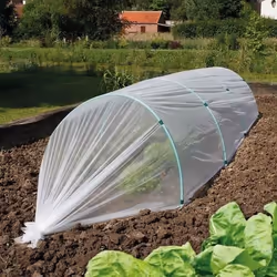 Film de forçage anti-insectes "Biocontrol" - 1,40 x 5 m