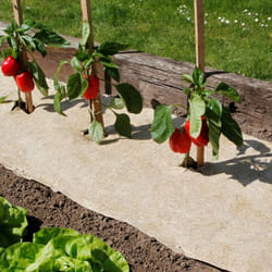 Nortene - Paillage naturel 75 x 500 cm - pour jardin et potager 100% biodégradable - 500 g/m2