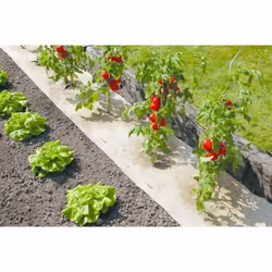 Paillage naturel 50 x 300 cm - pour jardin et potager 100% biodégradable - 500 g/m2